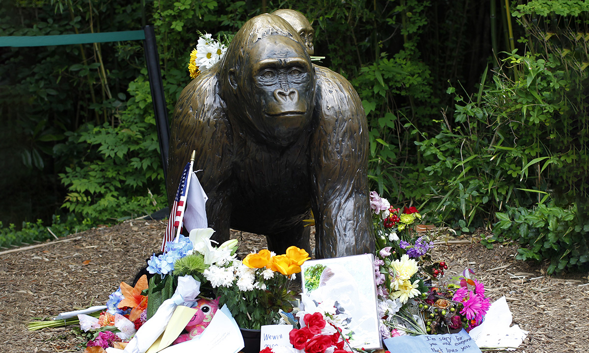Flowers lay around a bronze statue of a gorilla