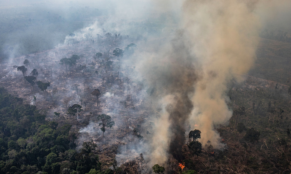 lvmh group amazon wildfires