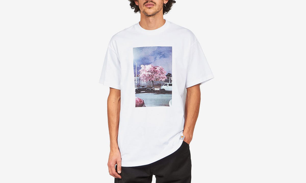 graphic tees feat Carne Bollente Stüssy adidas skateboarding