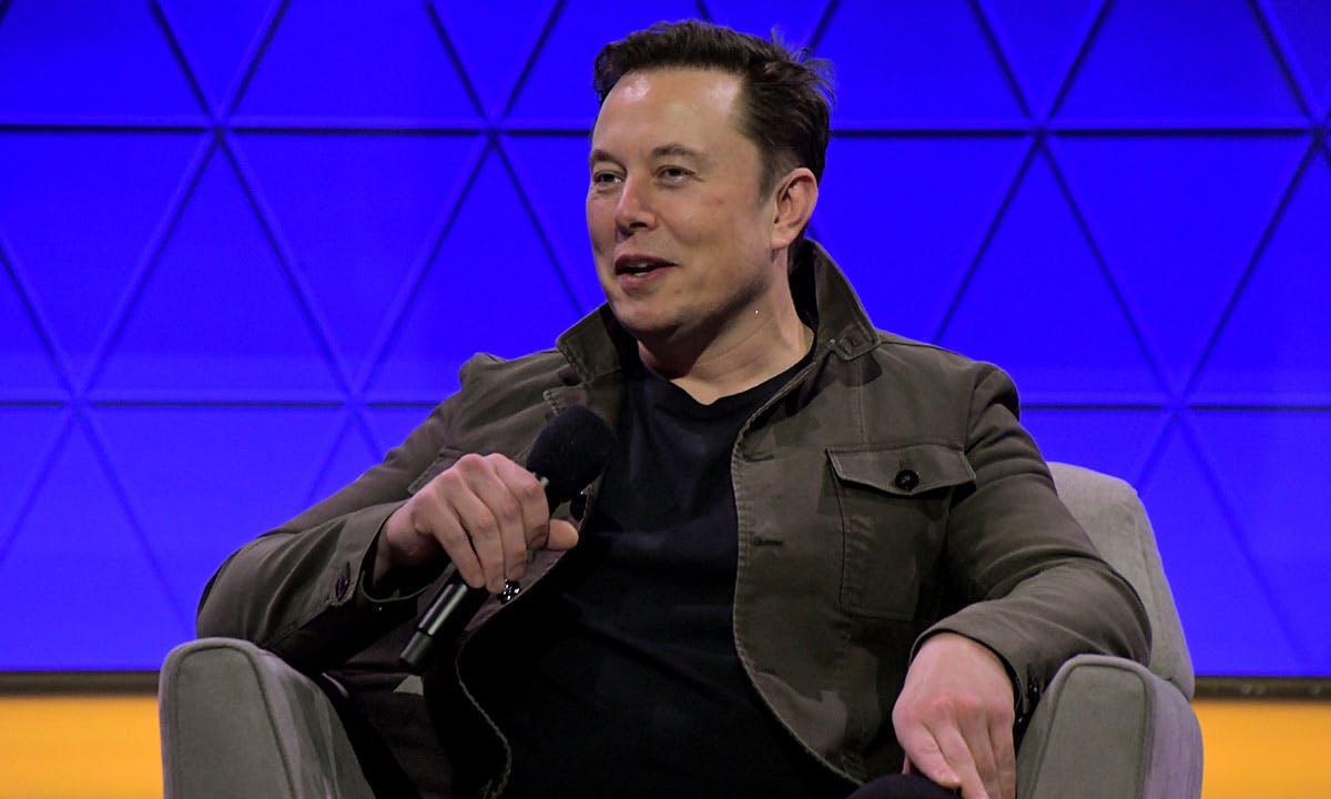 elon musk neuralink 2020