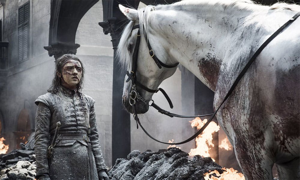 game of thrones arya white horse theory