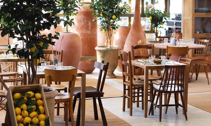 jacq cafe galeries lafayette jacquemus