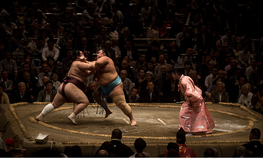sumo wrestling guide feat