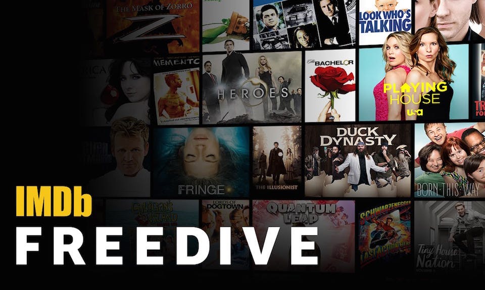 imdb freedive