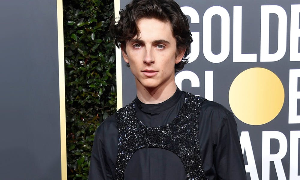 timothee chalamet mom golden globes Timothée Chalamet