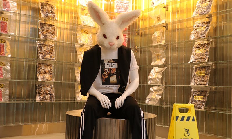 fxxking rabbits popcorn supply capsule feature