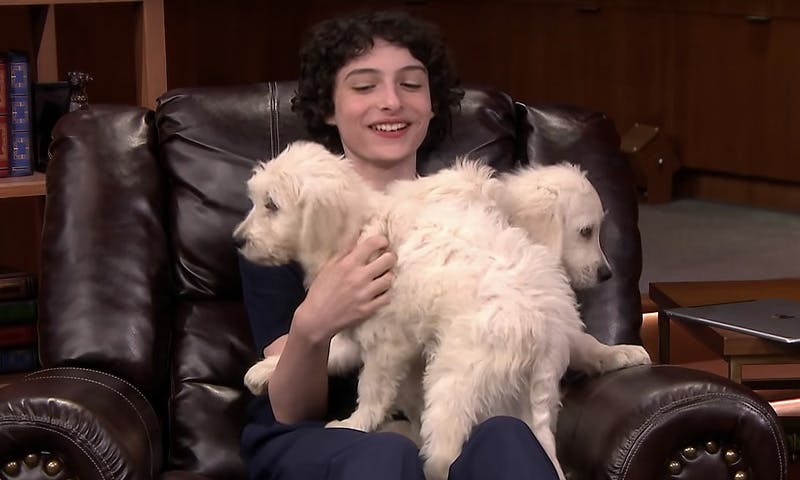 finn wolfhard glenn close fallon Stranger Things The Tonight Show Starring Jimmy Fallon