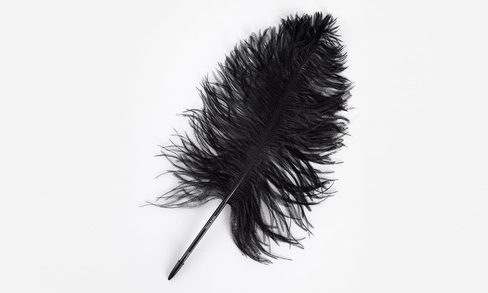 feather pen feature Maison Margiela antonioli