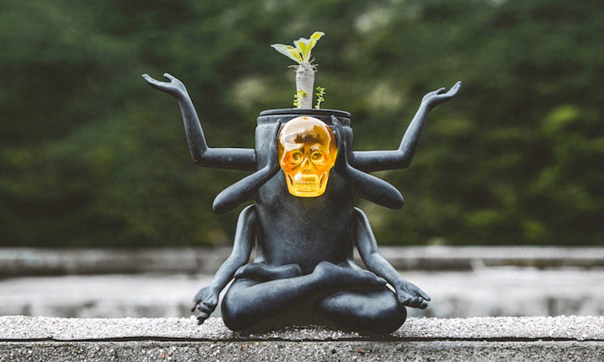 plants of gods terrarium 2 prodip leung