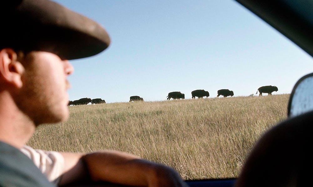 best new western movies feat 3.10 to yuma a girl walks home alone at night hell or high water