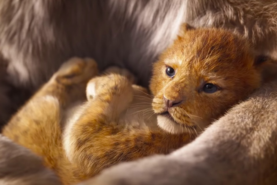 lion king trailer react Internet Reacts the lion king