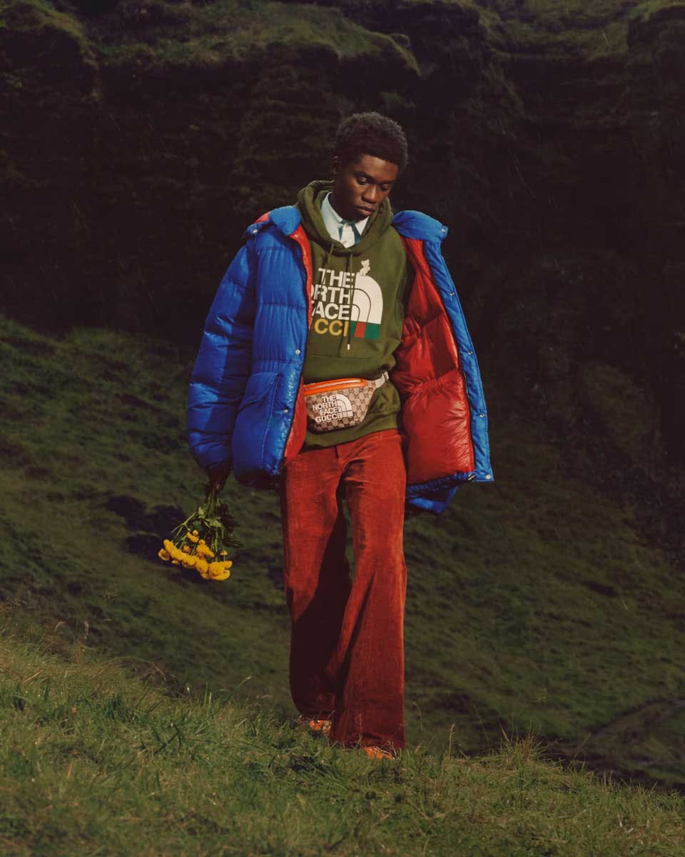 Gucci Introduces a Covetable New Collaboration With The North Face -  PurseBlog