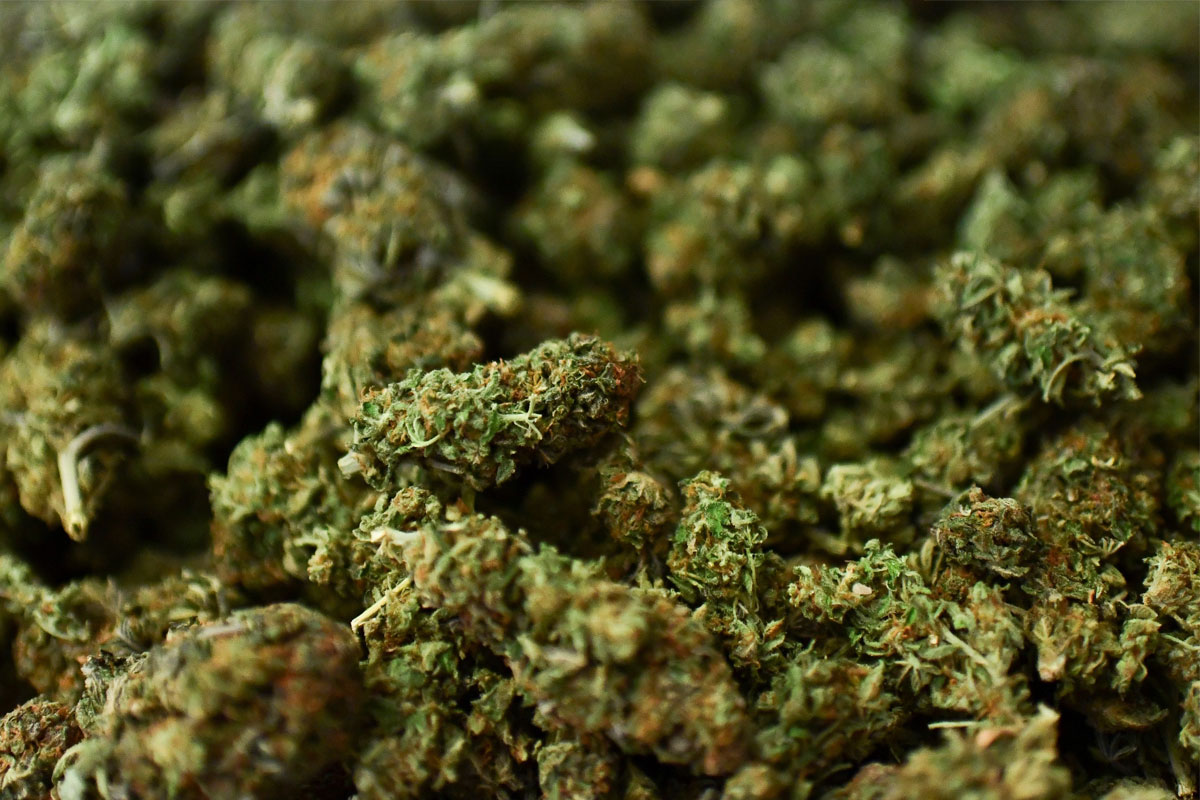 new york state marijuana convictions
