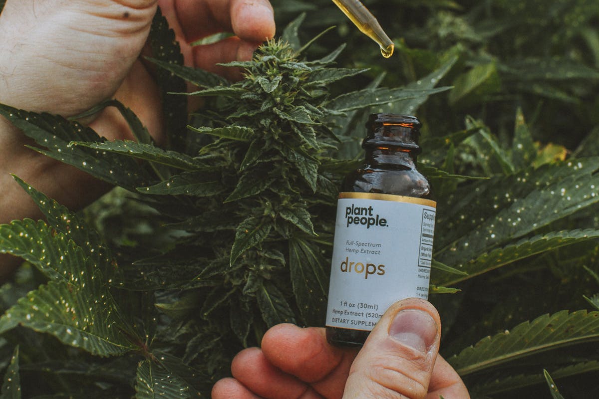 plant people cbd drops plant people