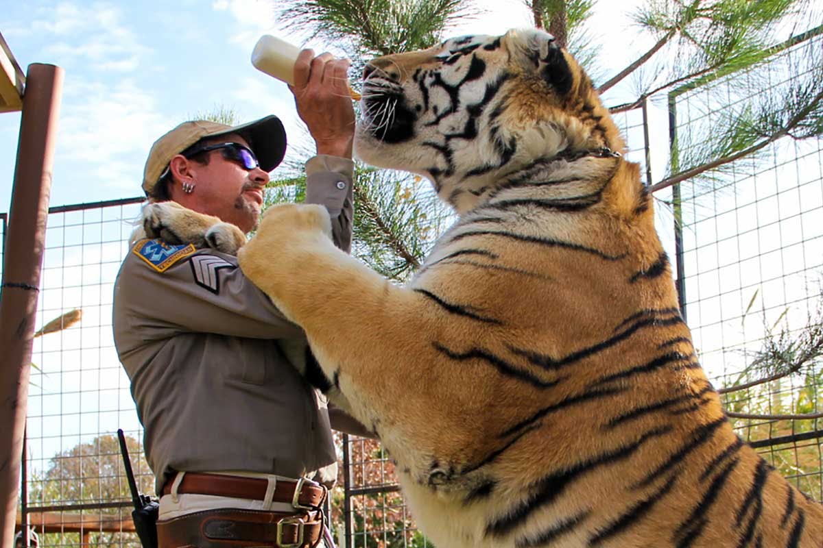 Tiger King Joe Exotic series