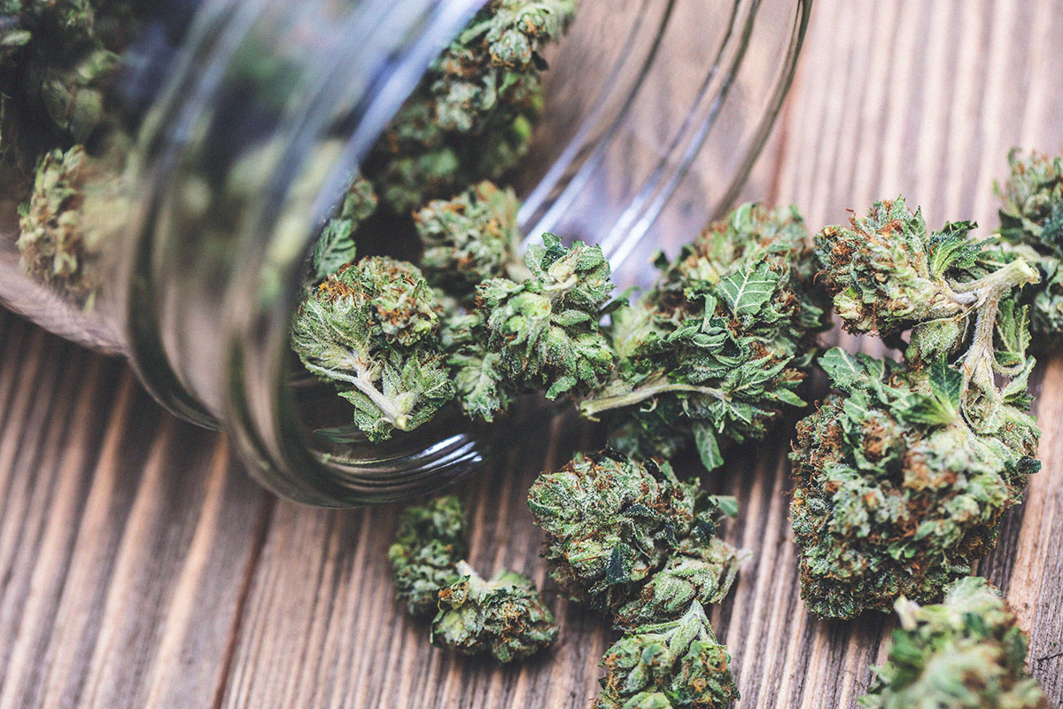 weed business ideas guide marijuana