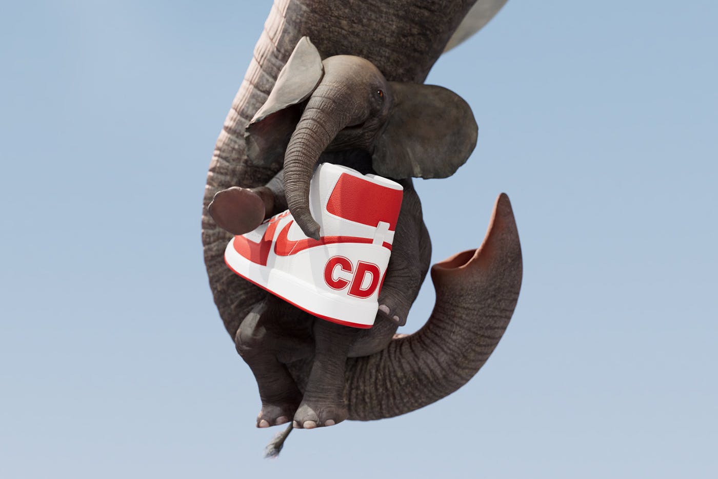 COMME des GARÇONS