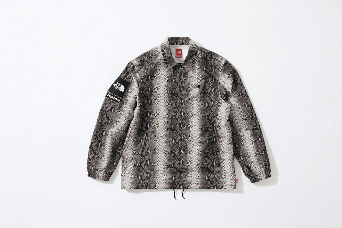 supreme snake northface The North Face