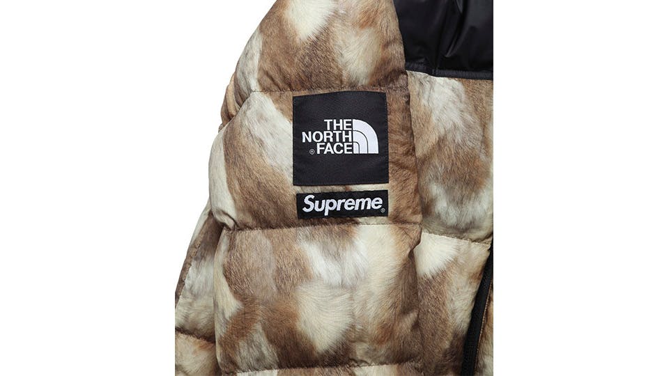 supreme x the north face history fw13