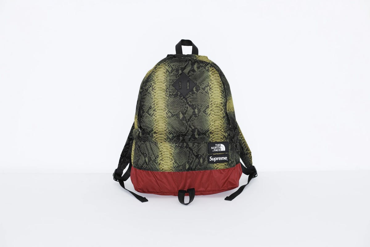 supreme snake northface The North Face