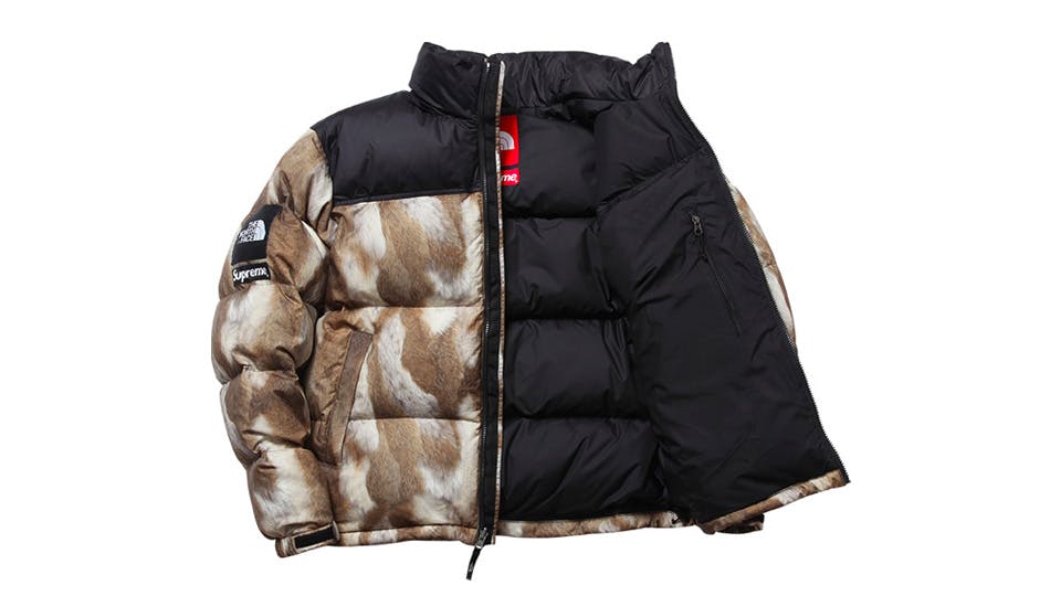 supreme x the north face history fw13