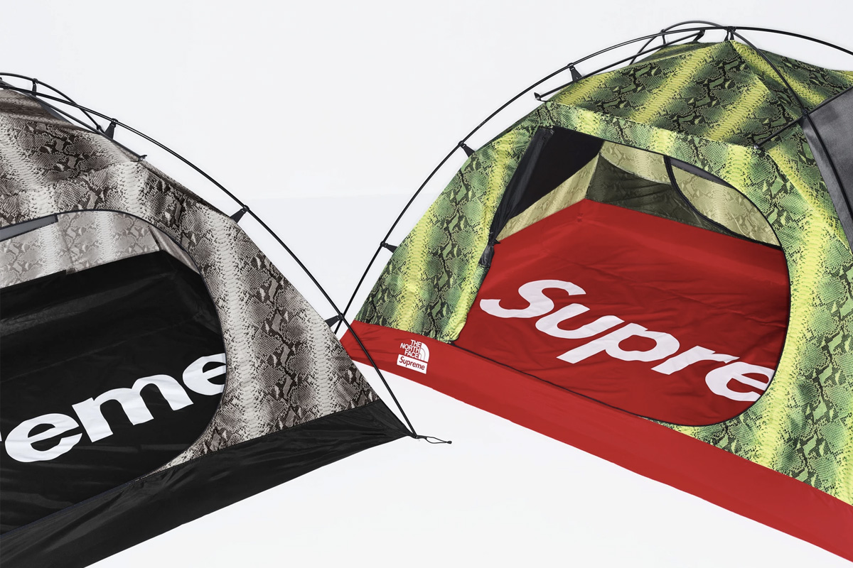 supreme snake northface The North Face