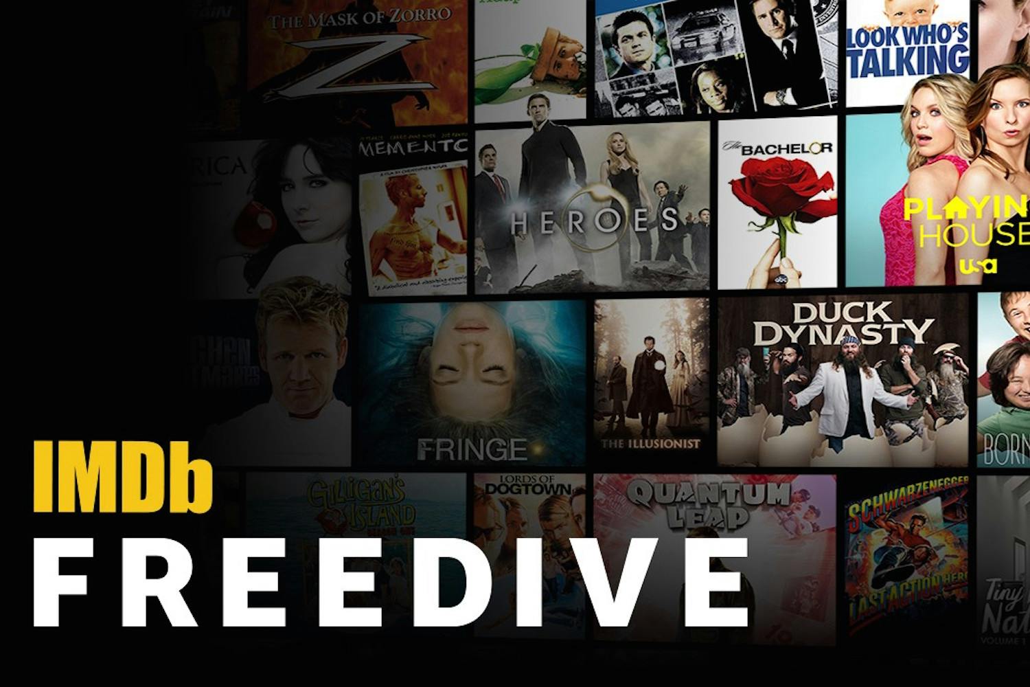 imdb freedive