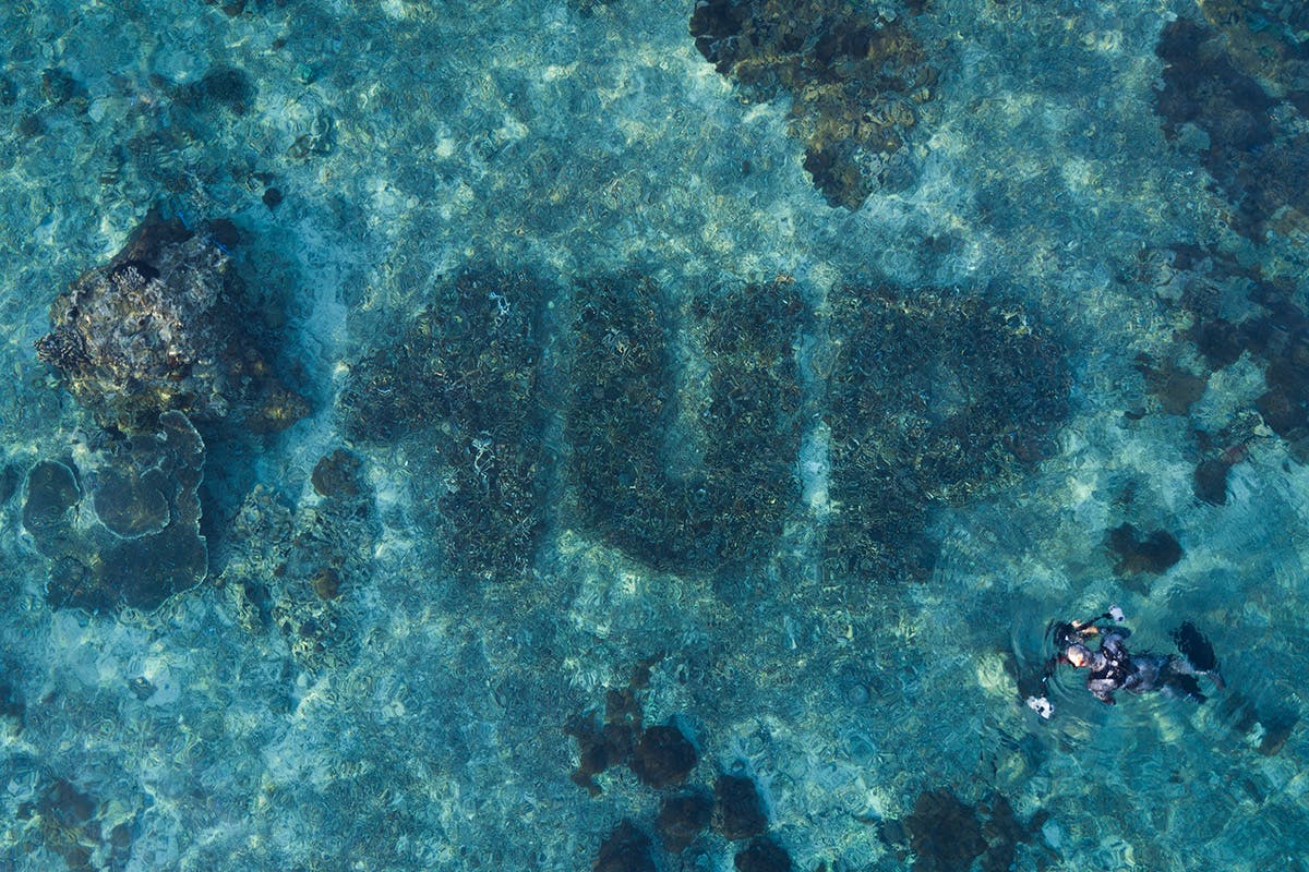 1up grafitti coral art