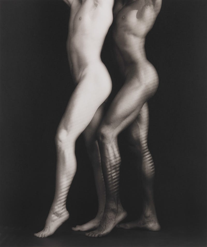 implicit tensions mapplethorpe now The Guggenheim robert mapplethorpe