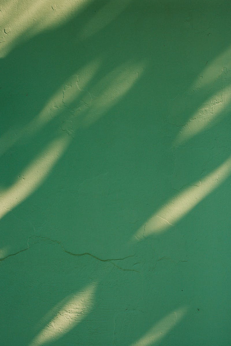 josh aronson