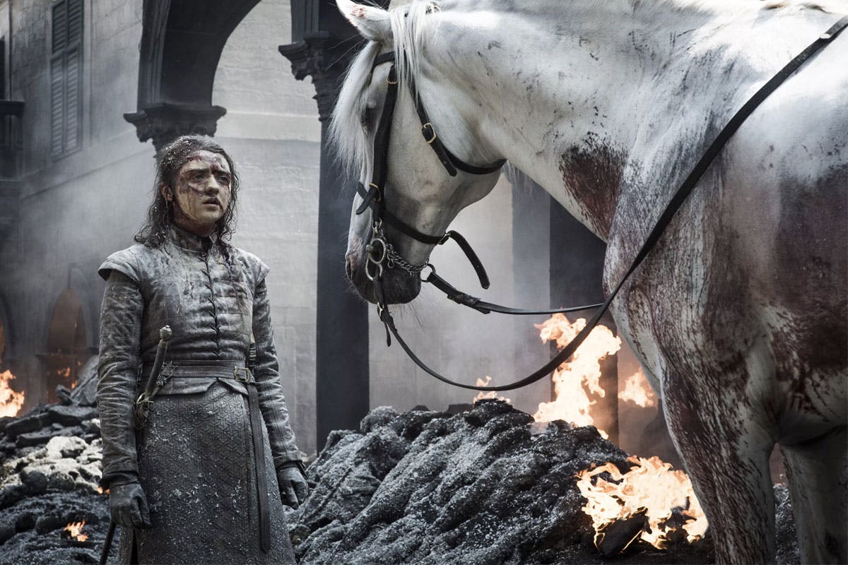 game of thrones arya white horse theory
