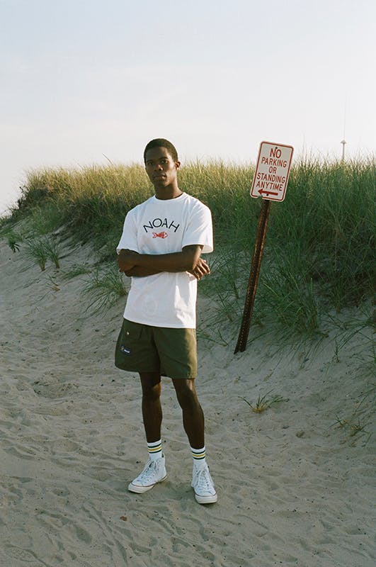 noah fishbone collection