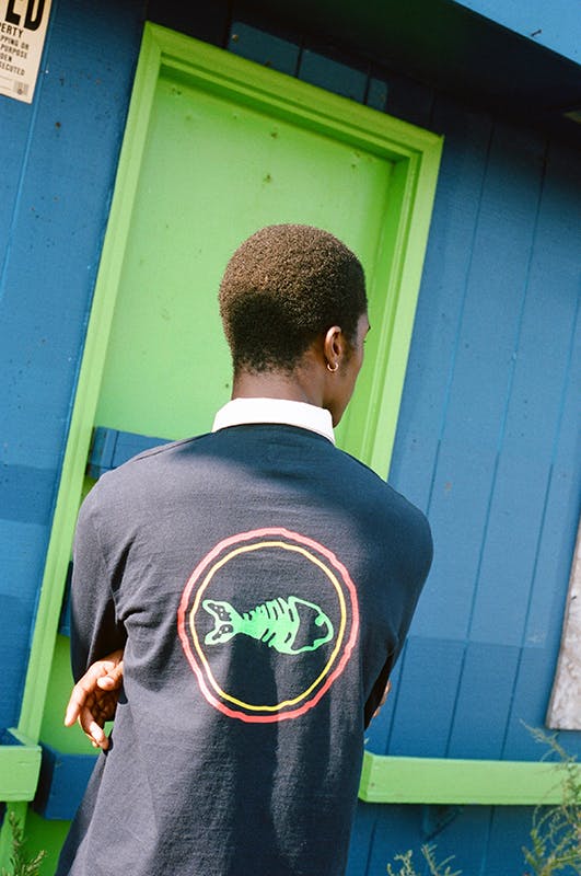 noah fishbone collection