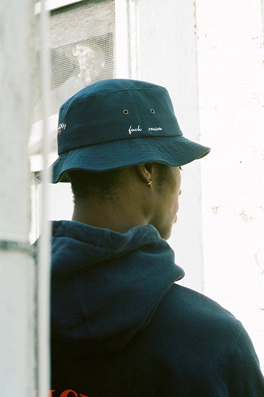 noah fishbone collection