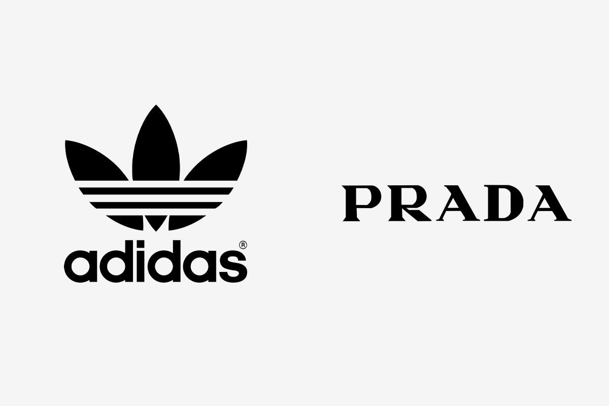 adidas prada collaboration rumor