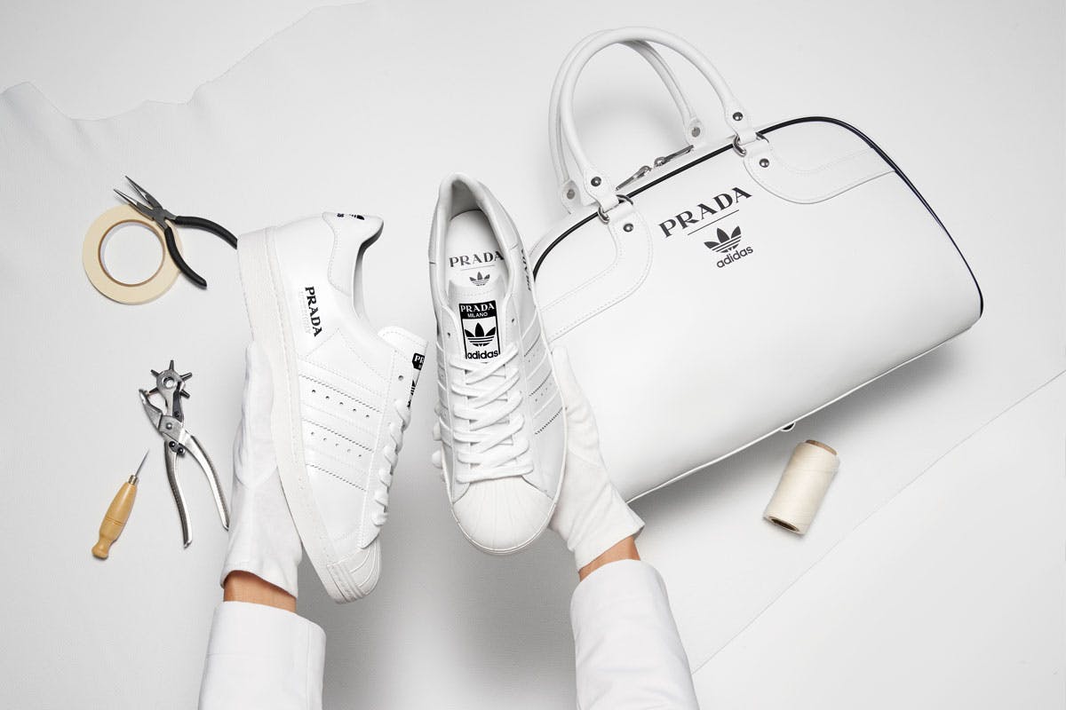 prada adidas superstar
