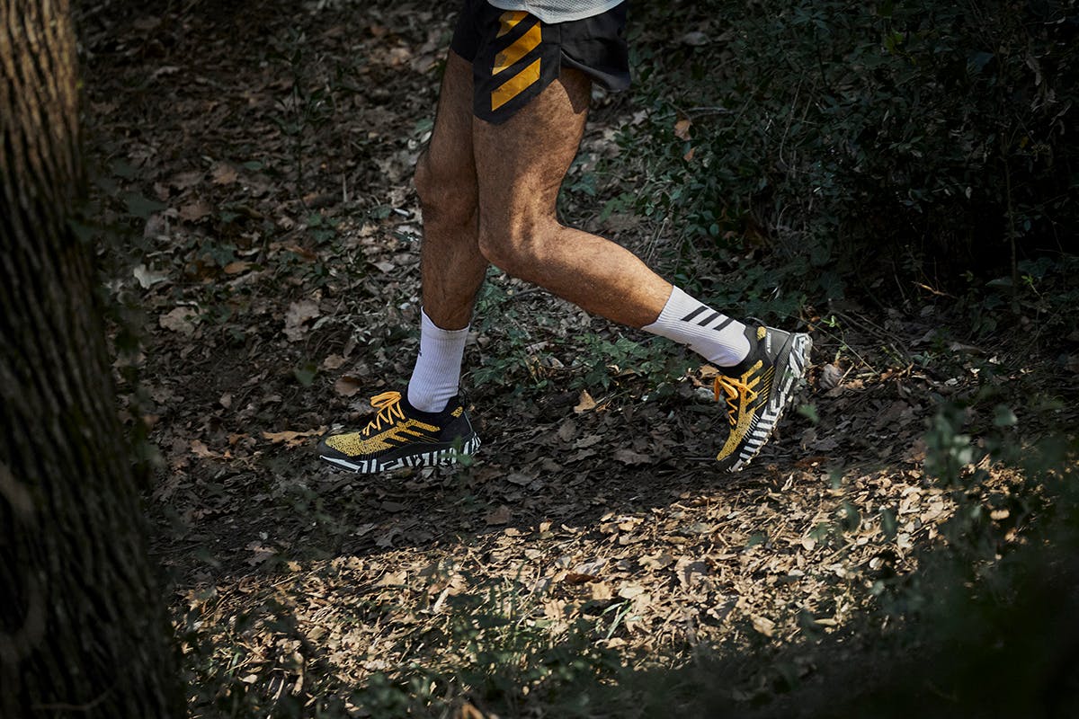 adidas TERREX PROTOHYPE sneakers