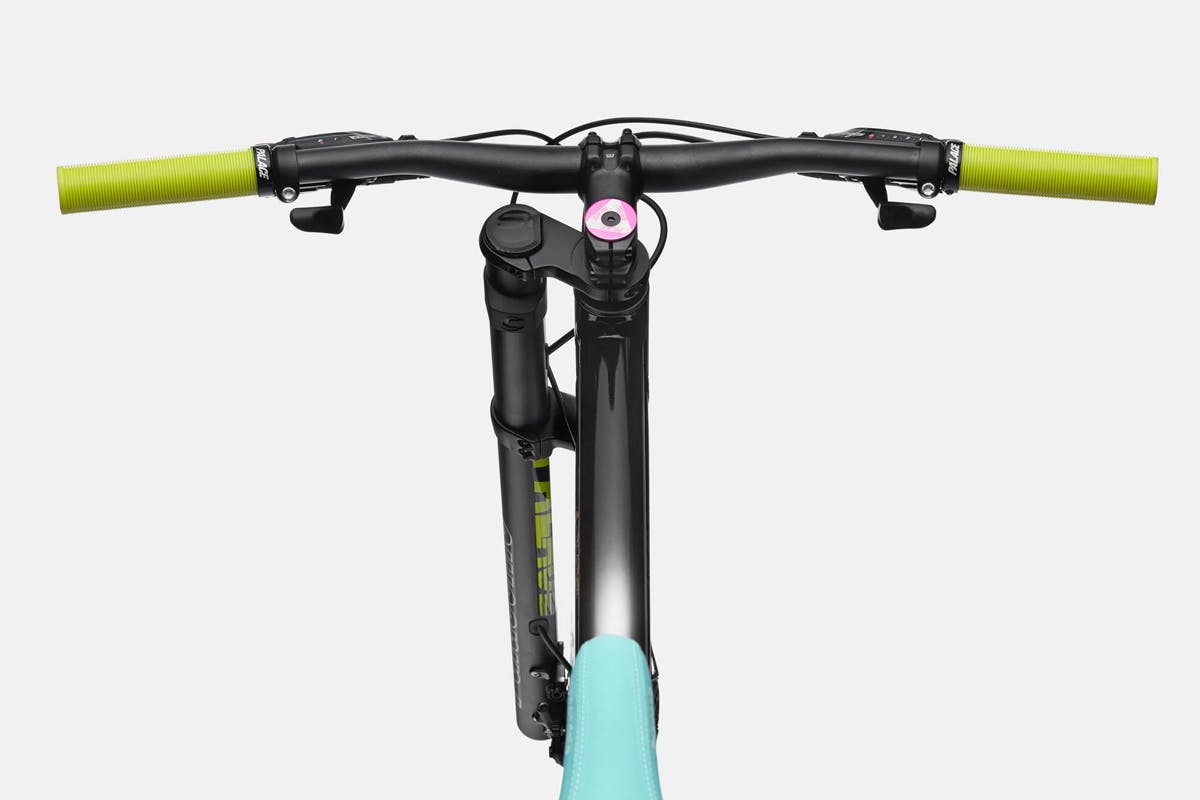 Palace x Cannondale Bikes FW21 Collaboration, Release Date