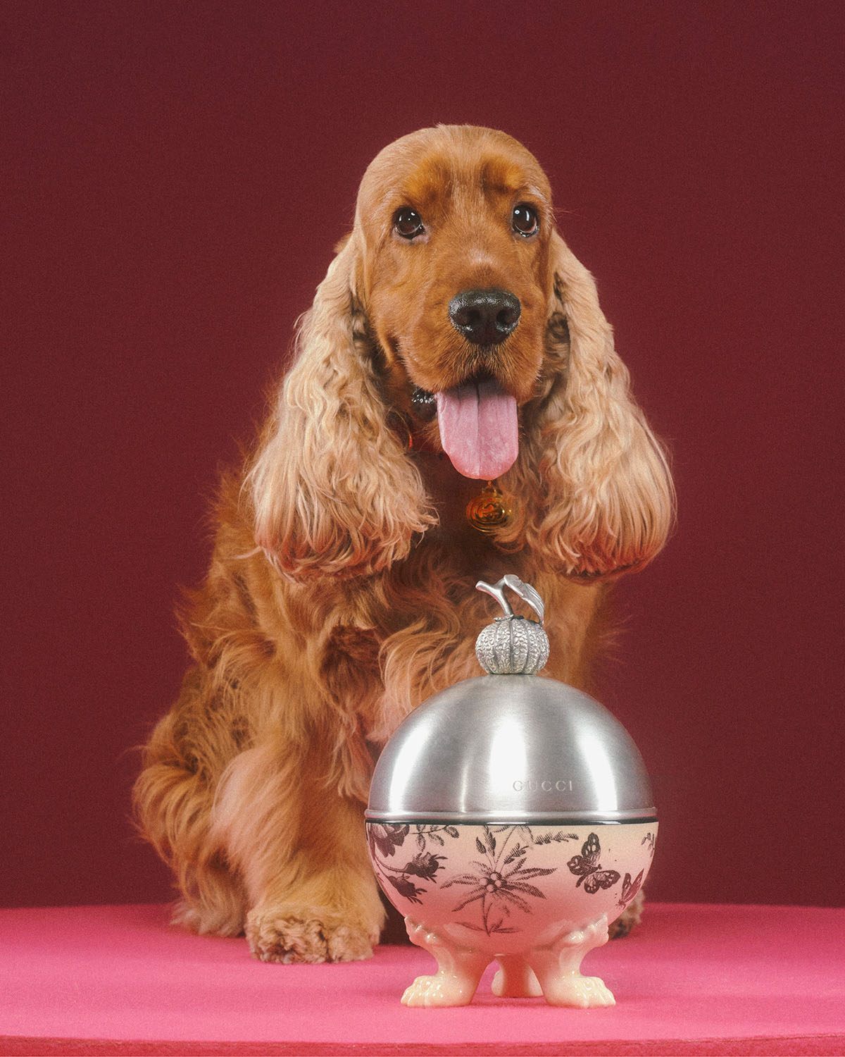 Gucci Launches First Pet Collection of Collars, Leashes, Beds and