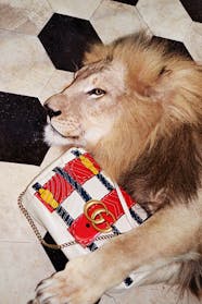 Alessandro Michele Things To Know About Gucci s Creative Director