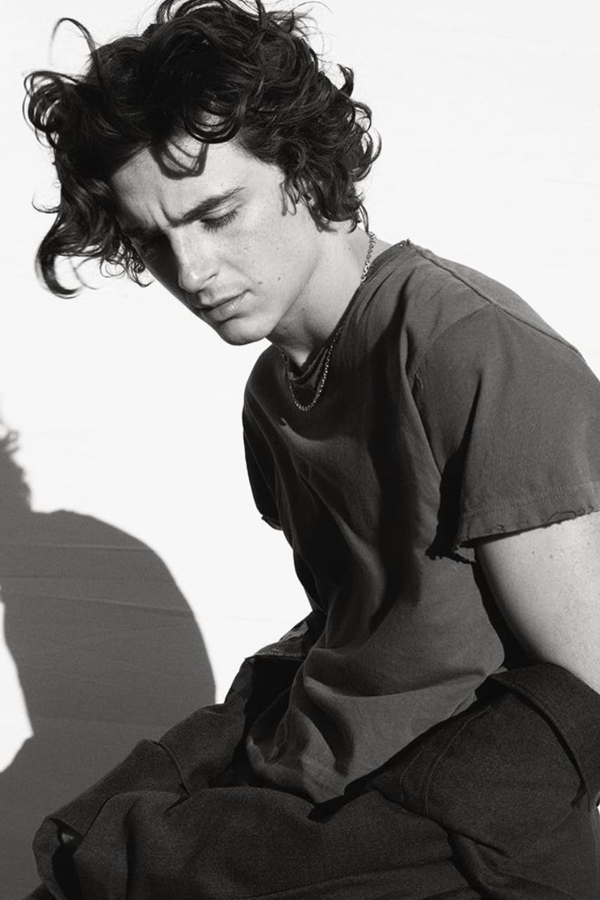 timothee chalamet photoshoot