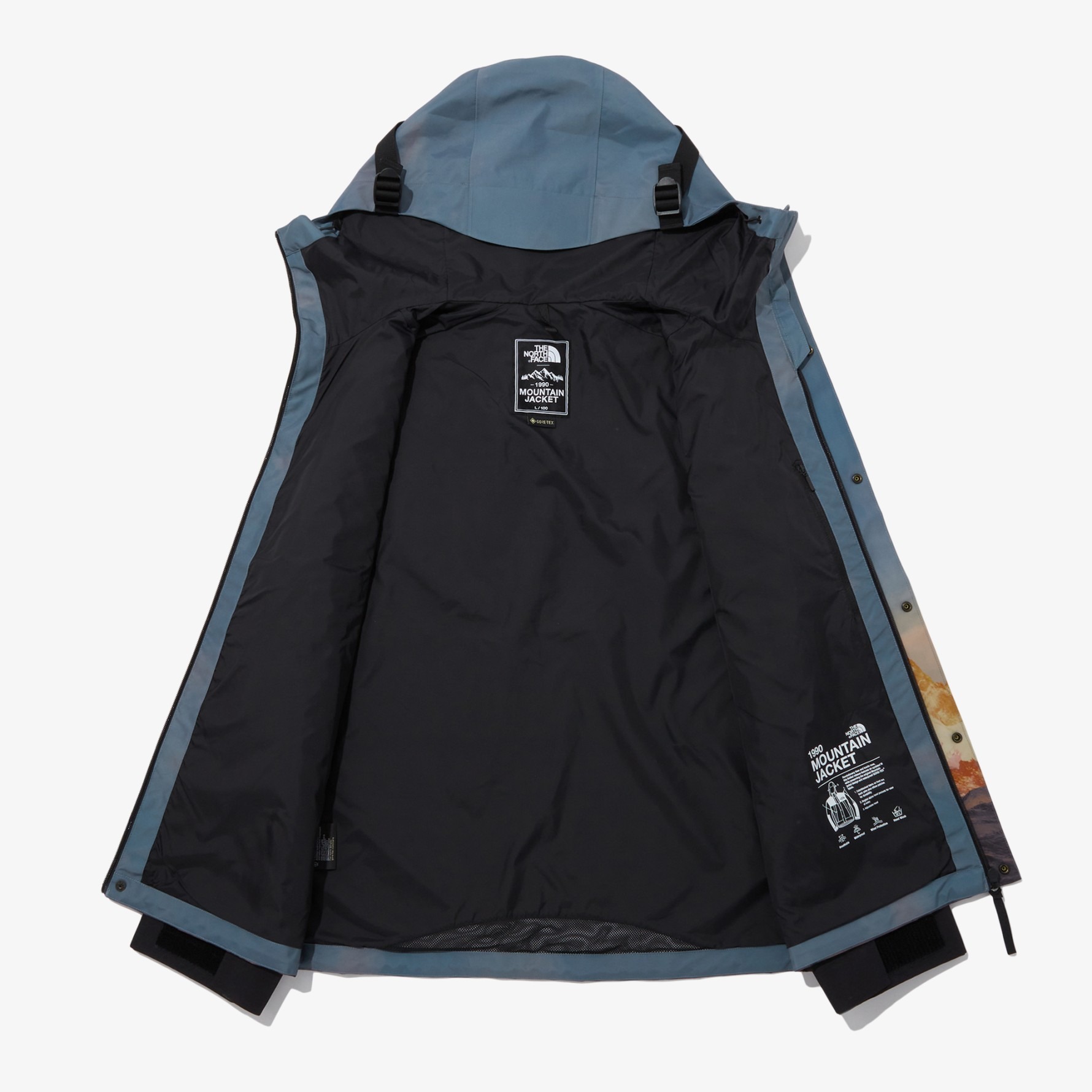 The North Face's Mountain Vista GORE-TEX Jackets Are Gorgeous