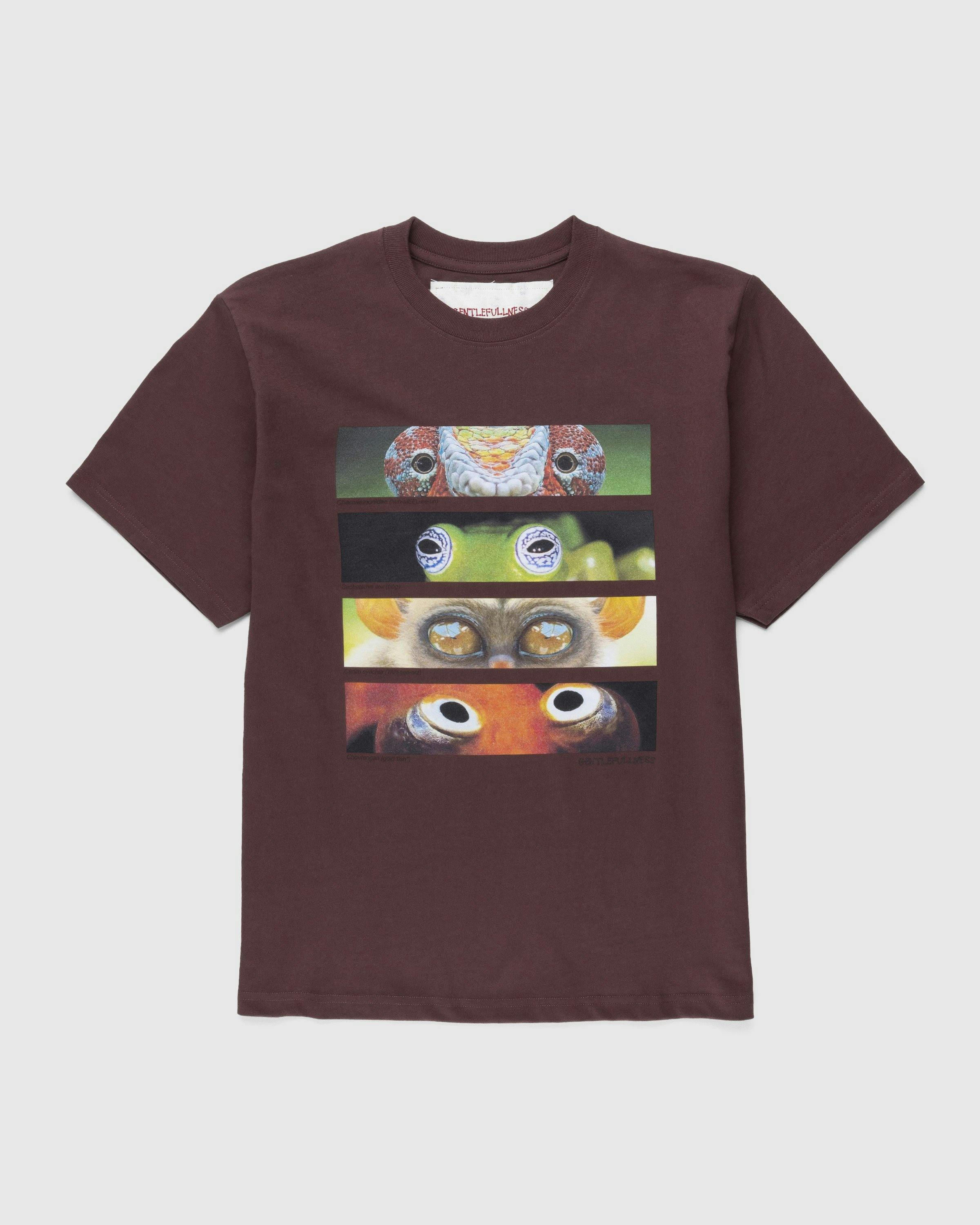 Gentle Fullness - Recycled Cotton Animal Eyes Tee Multi - Clothing - Brown - Image 1