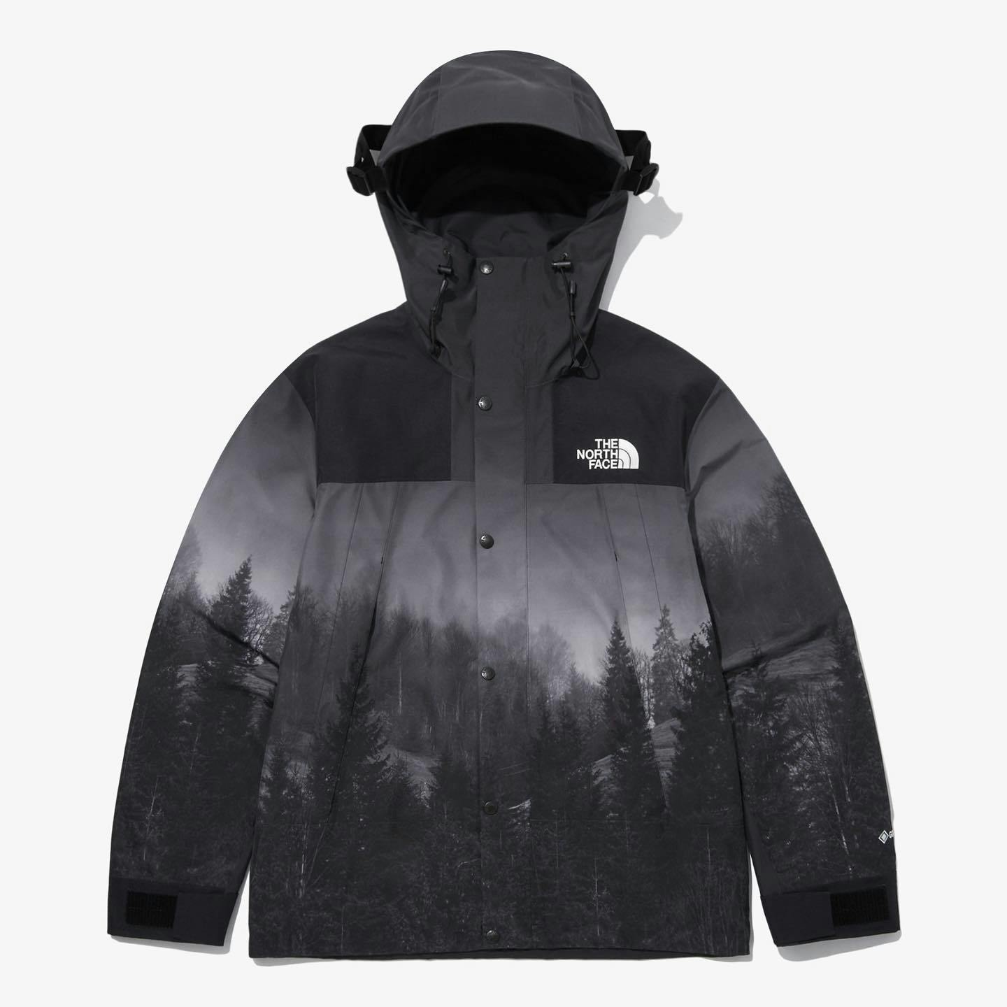 Supreme x The North Face Mountain Parka (Blue/White)