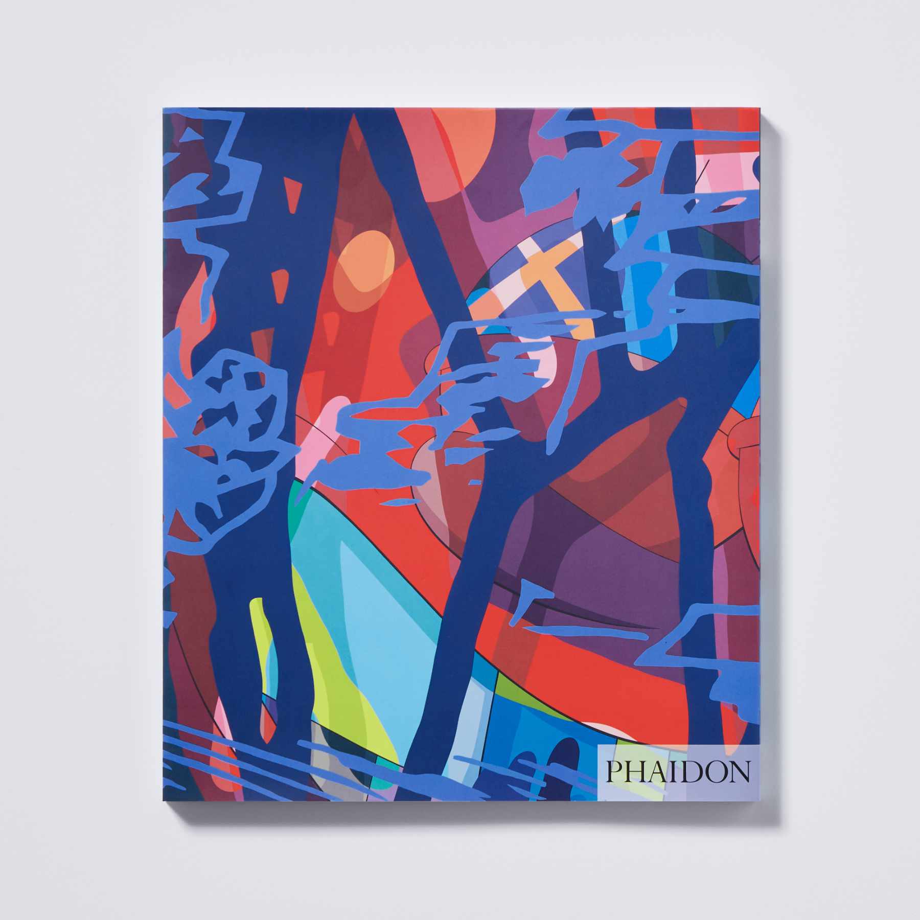 A detailed photograph of the KAWS 'What Party' book published by Phaidon