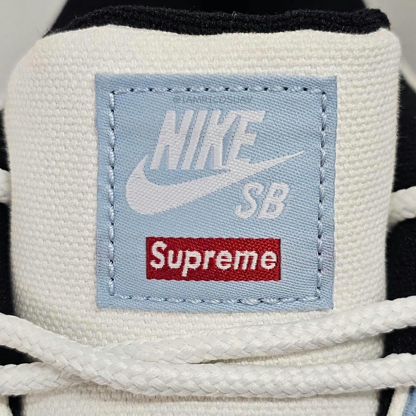 Supreme's Nike SB Air Darwin Low Collab Surfaces