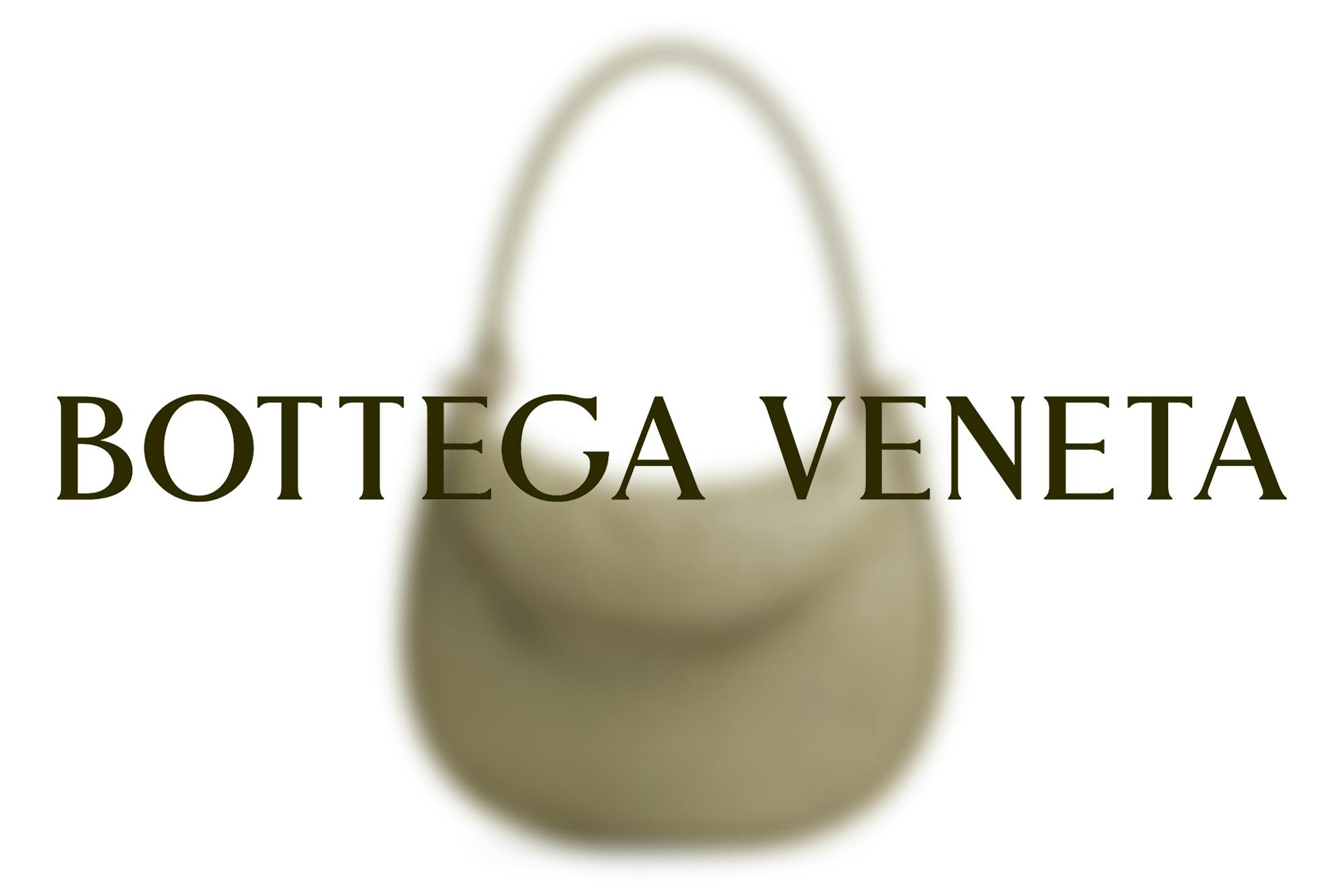 Introducing the Bottega Veneta Gemelli Bag - PurseBlog