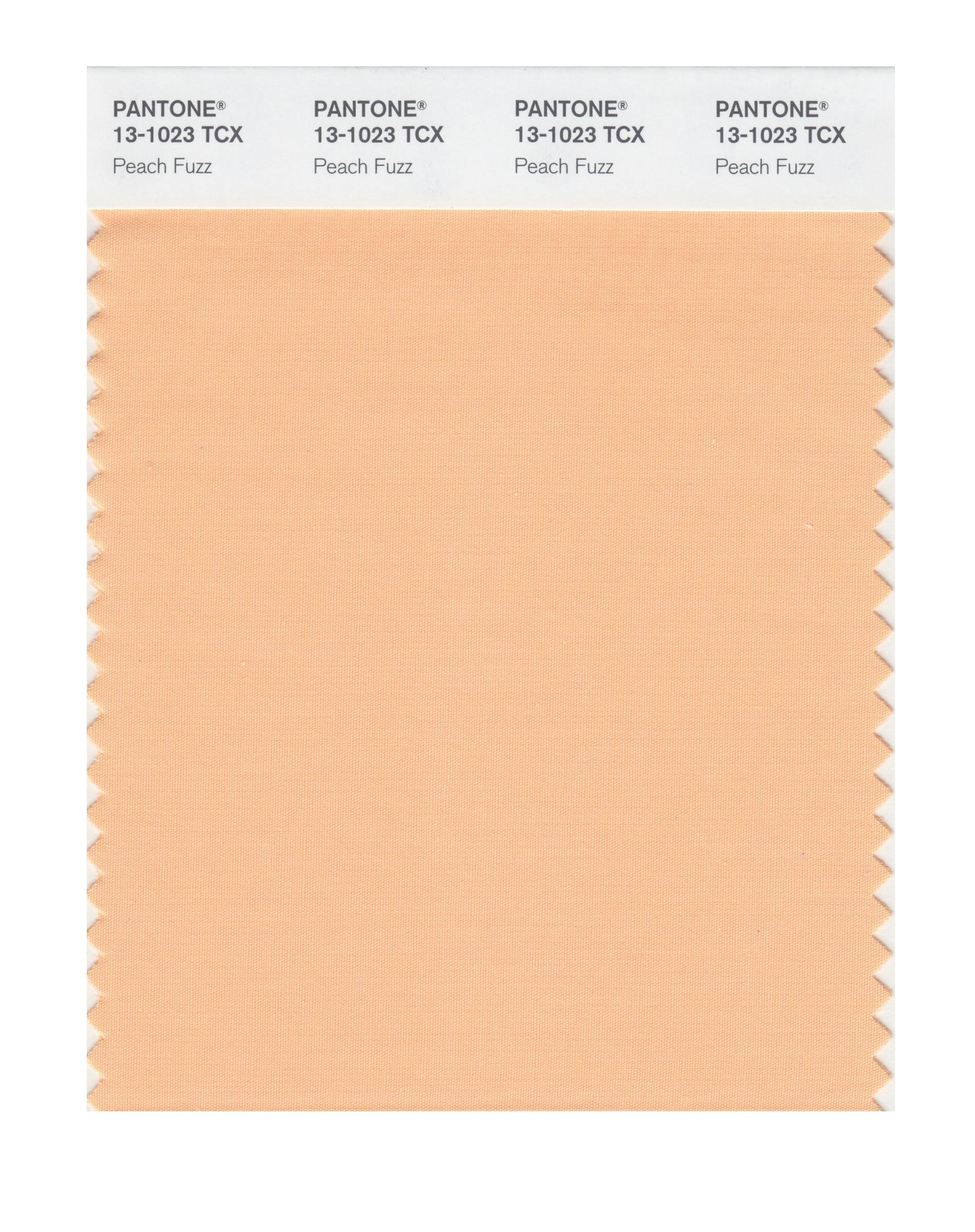pantone color of the year 2024