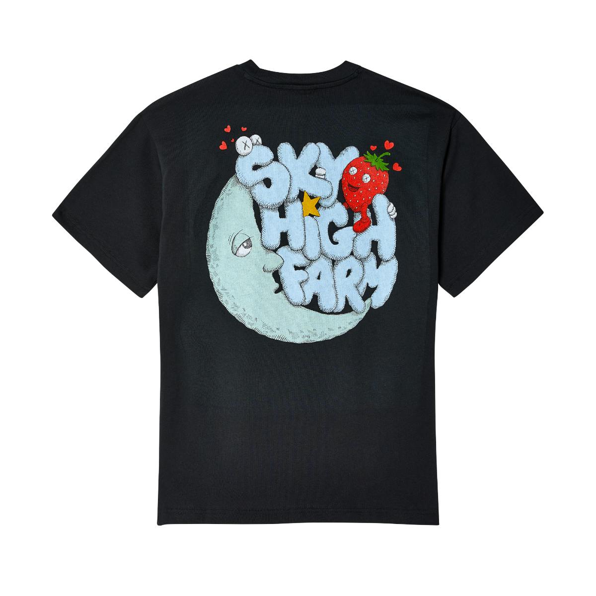 kaws sky high farm nike air force 1