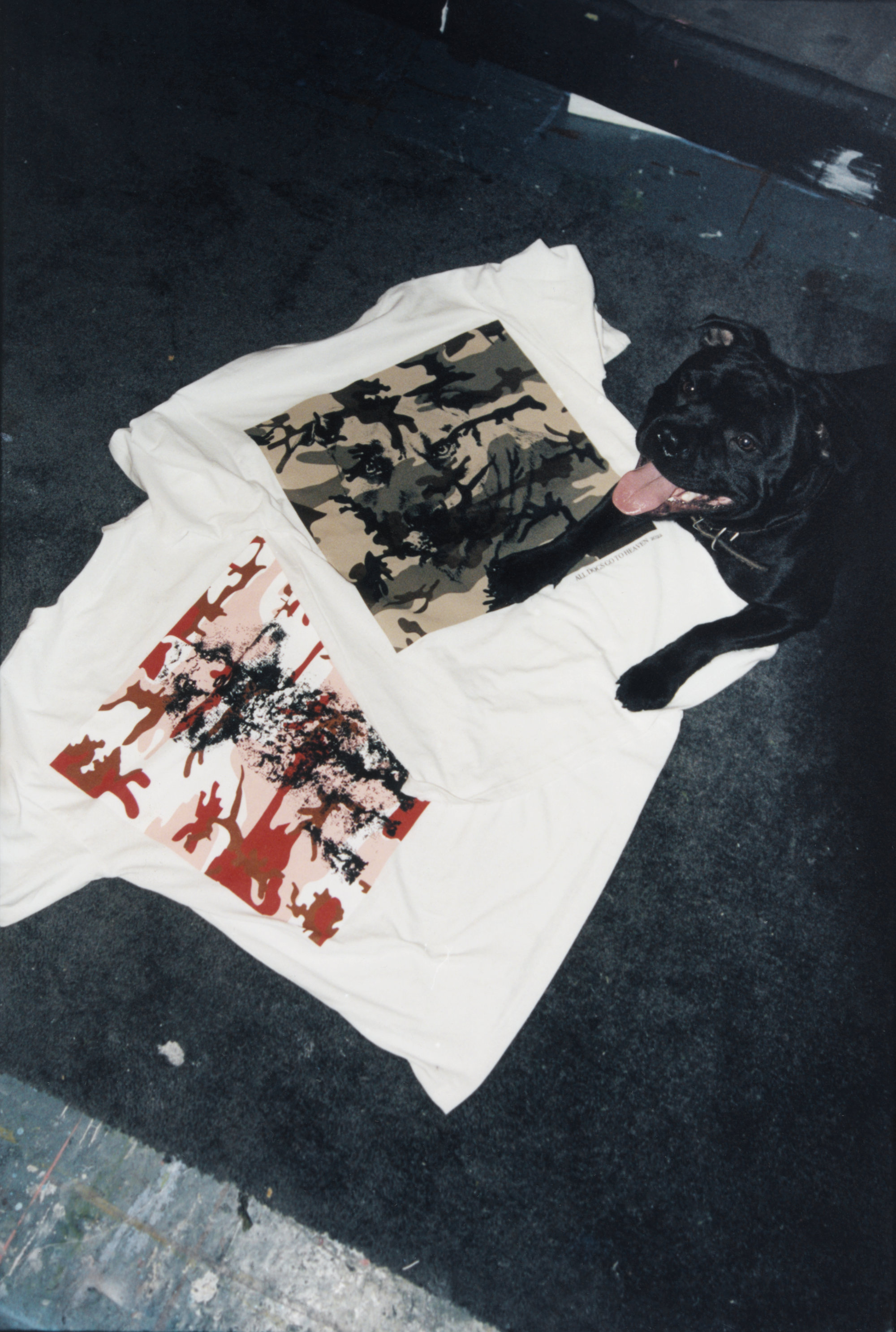 Awake NY & SOLDIER Launch 'All Dogs Go To Heaven' Collection